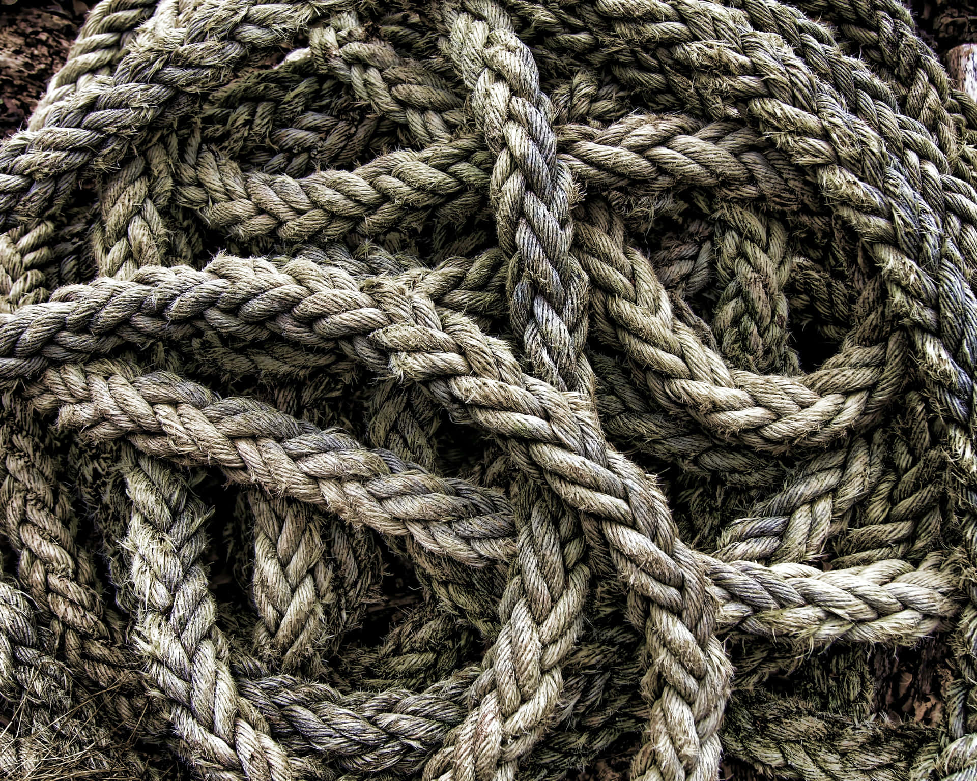 Thick Tangled Rope Wallpaper