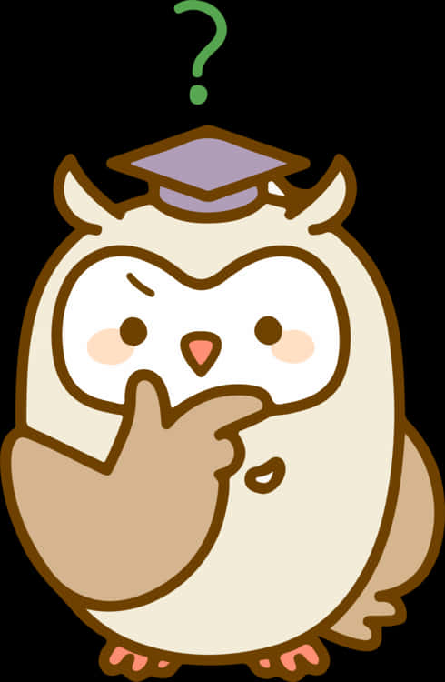 Thinking Owl Teacher Clipart PNG