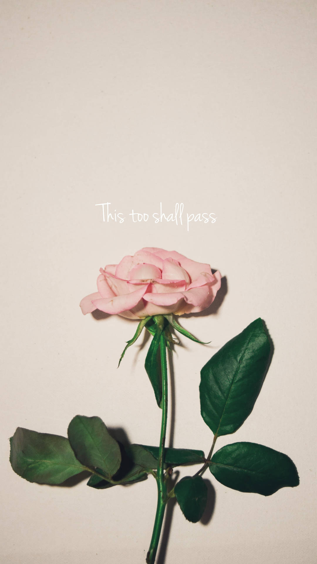 This Too Shall Pass Small Quotes