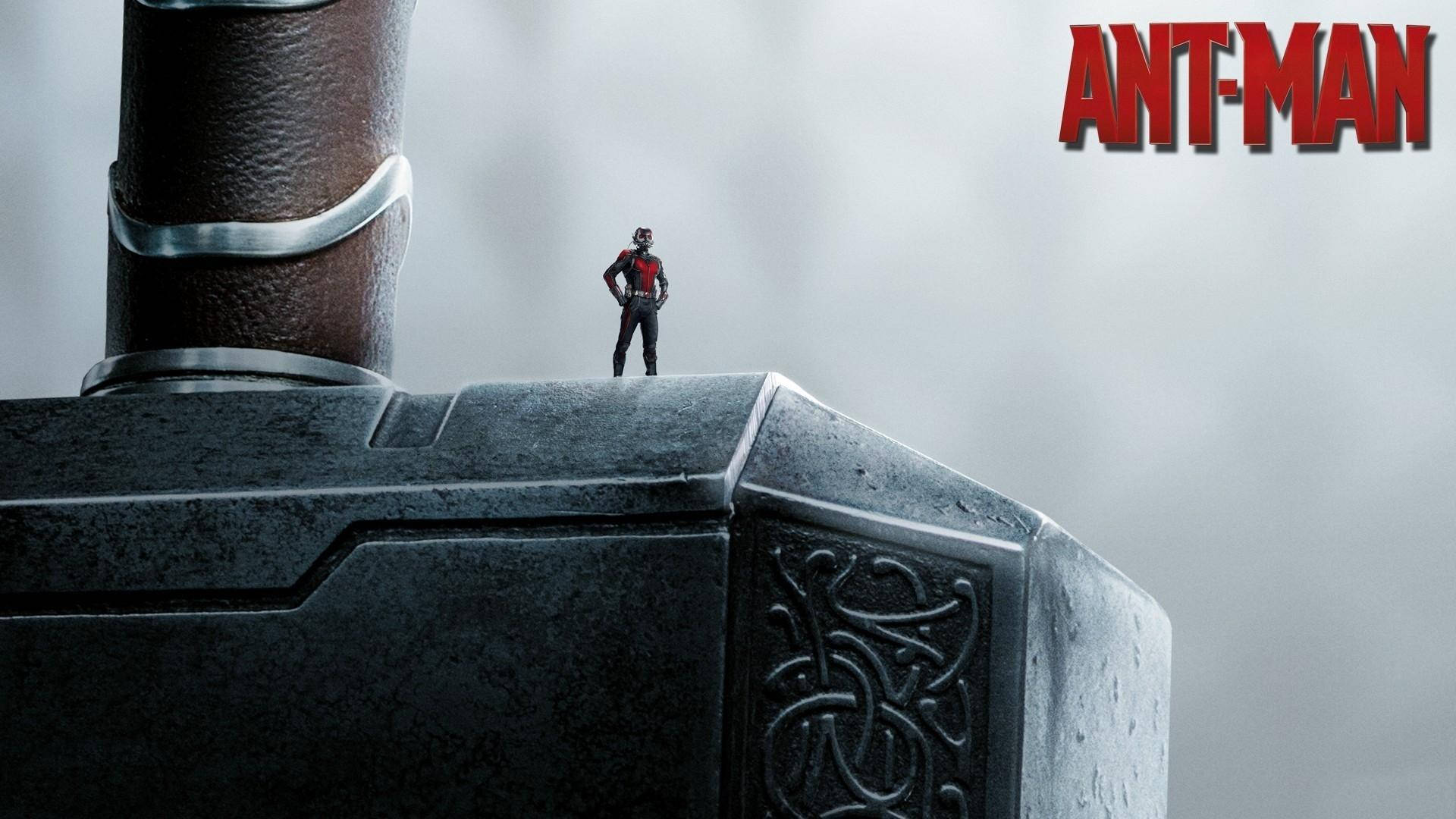 Ant-man Above The Thor Hammer Wallpaper