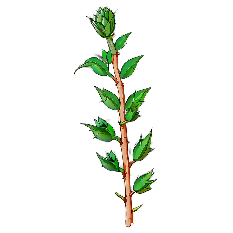 Thorny Plant Png 42 PNG