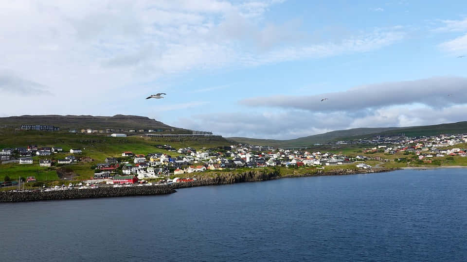 Thorshavn Coastline With Birds Flying Wallpaper