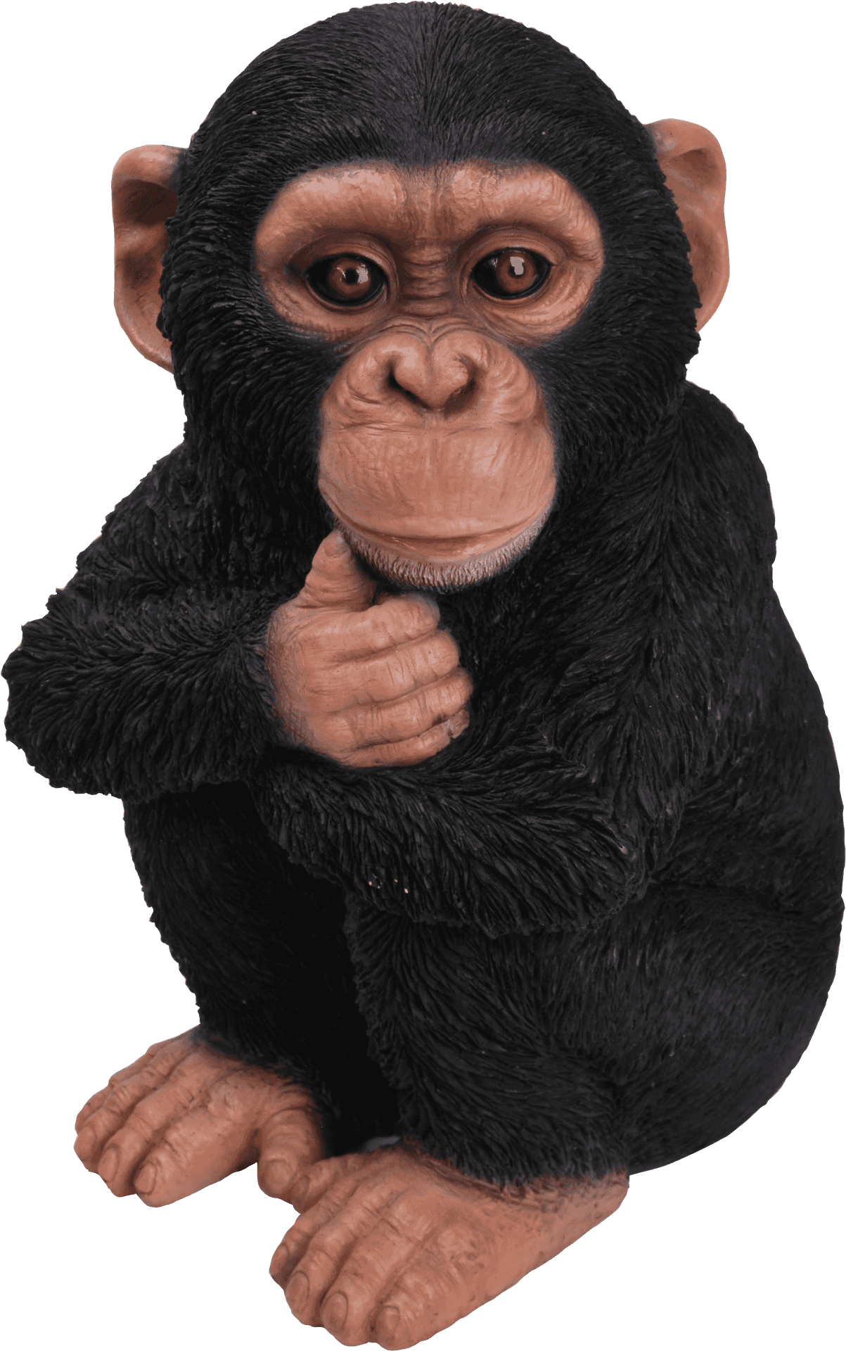 Thoughtful Chimpanzee Statue PNG