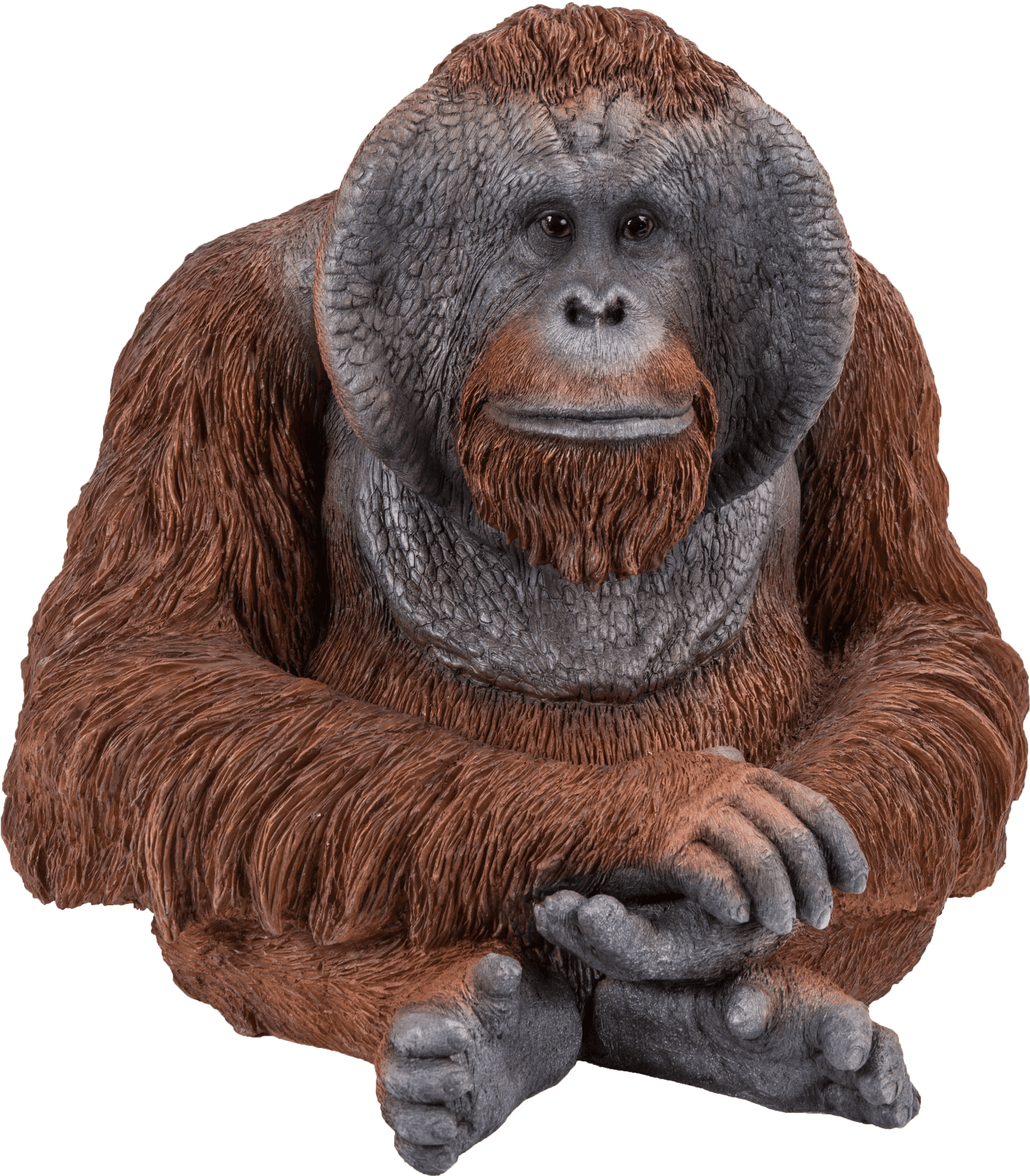 Thoughtful Orangutan Portrait PNG