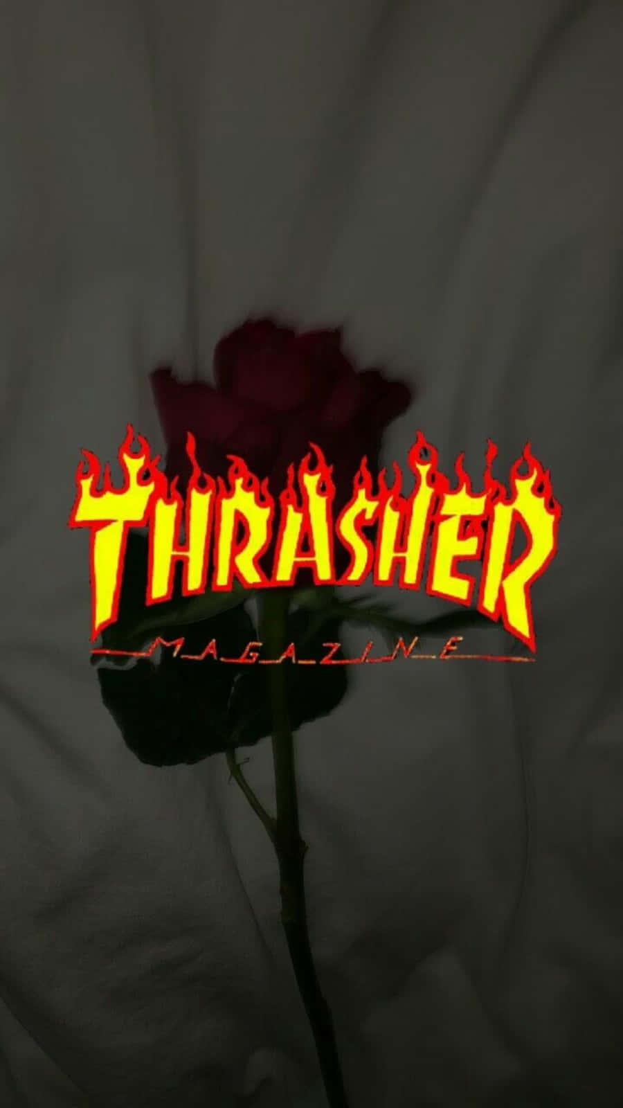 Thrashertidningen - Thrasher - Thrasher - Thrasher - Thrasher -