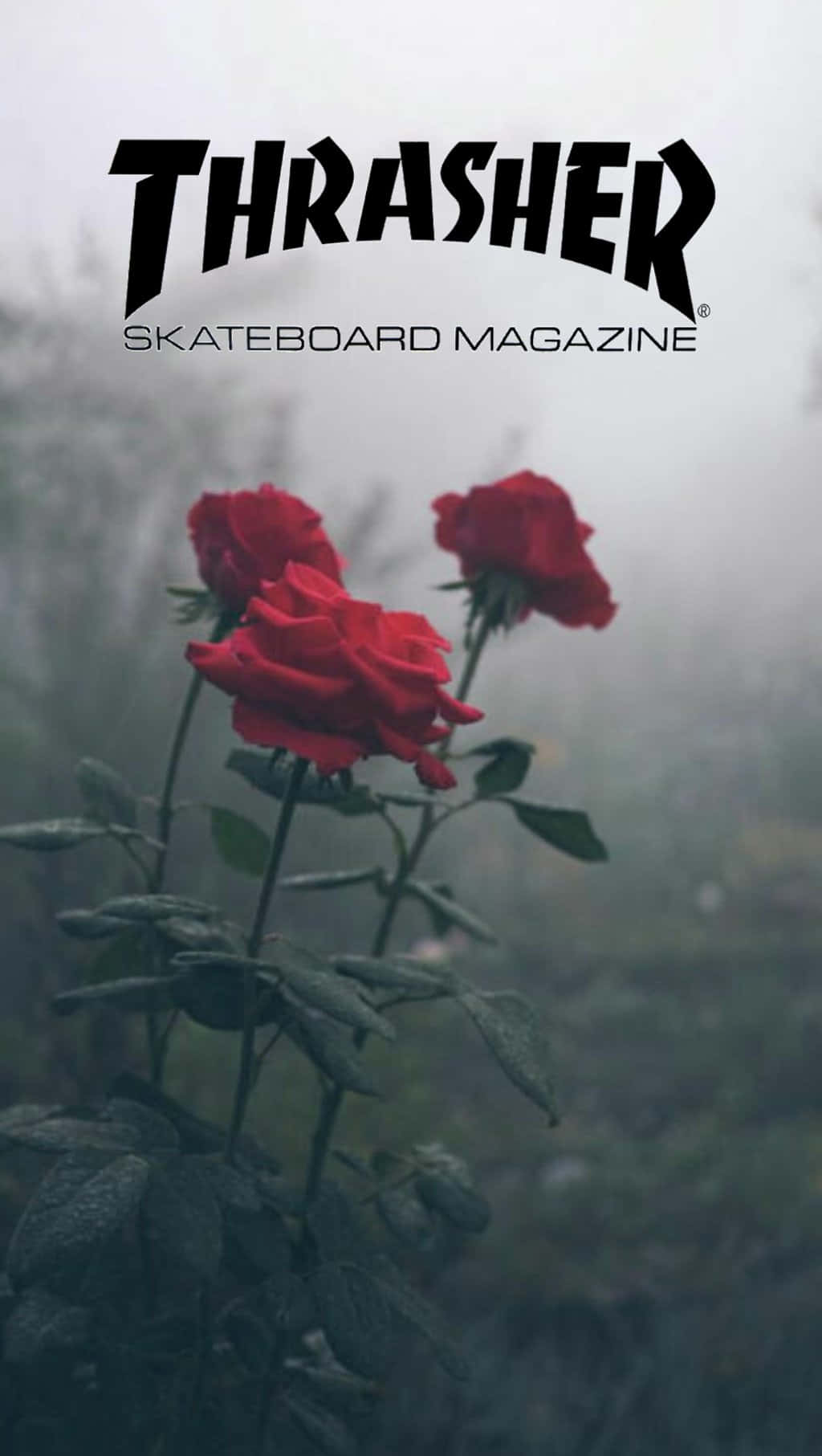 Portadade La Revista Thrasher Skateboard