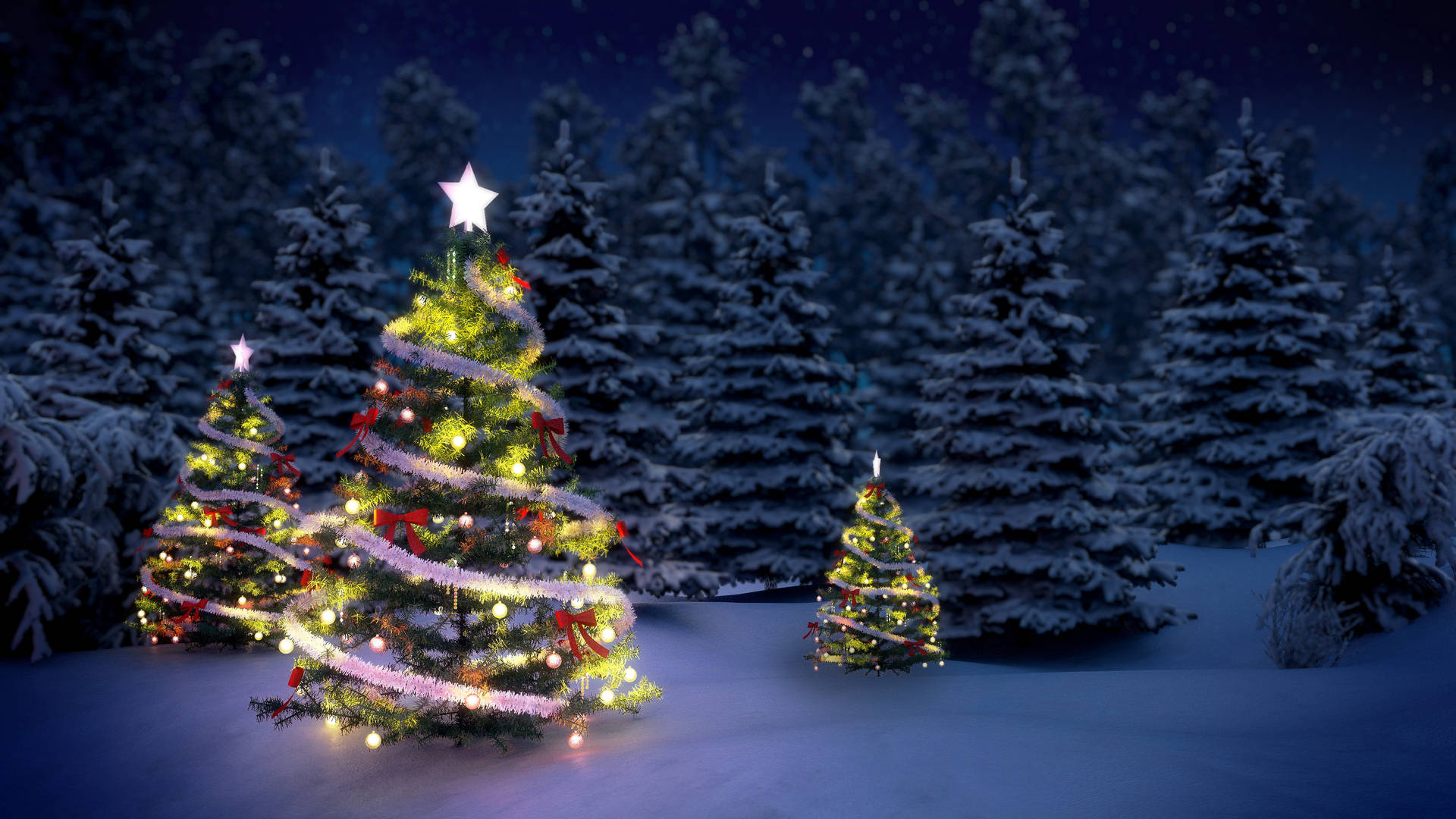 Three Beautiful Christmas Trees Outdoors Wallpaper
