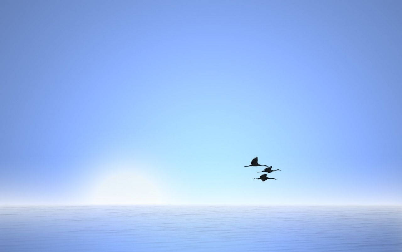 Three Birds Flying Over The Luminous Sky And Sea Wallpaper