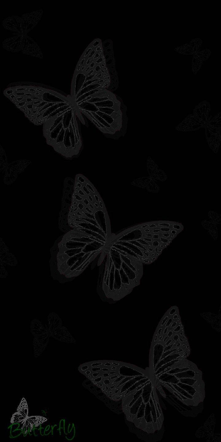Three Black Butterfly Graphics Wallpaper