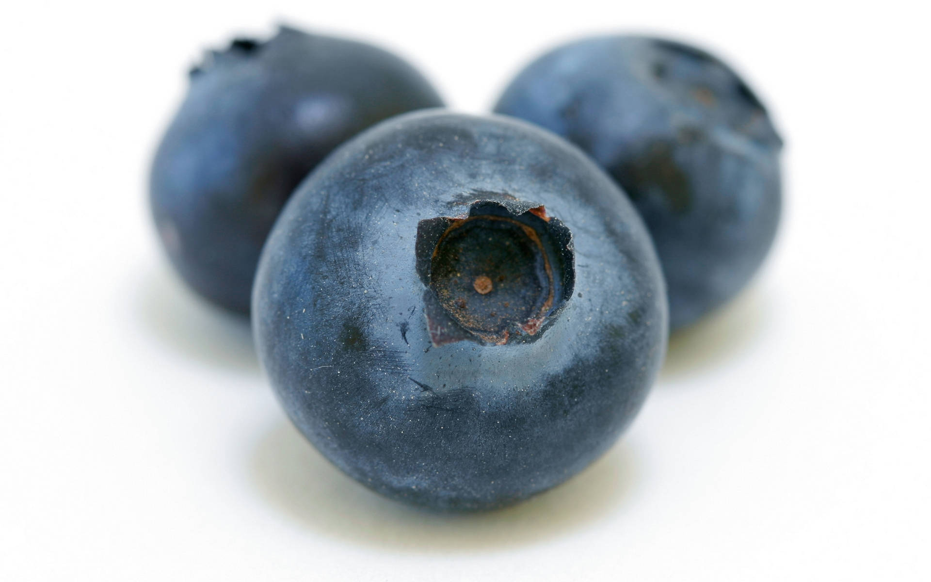 Three Blueberries Close-Up Wallpaper