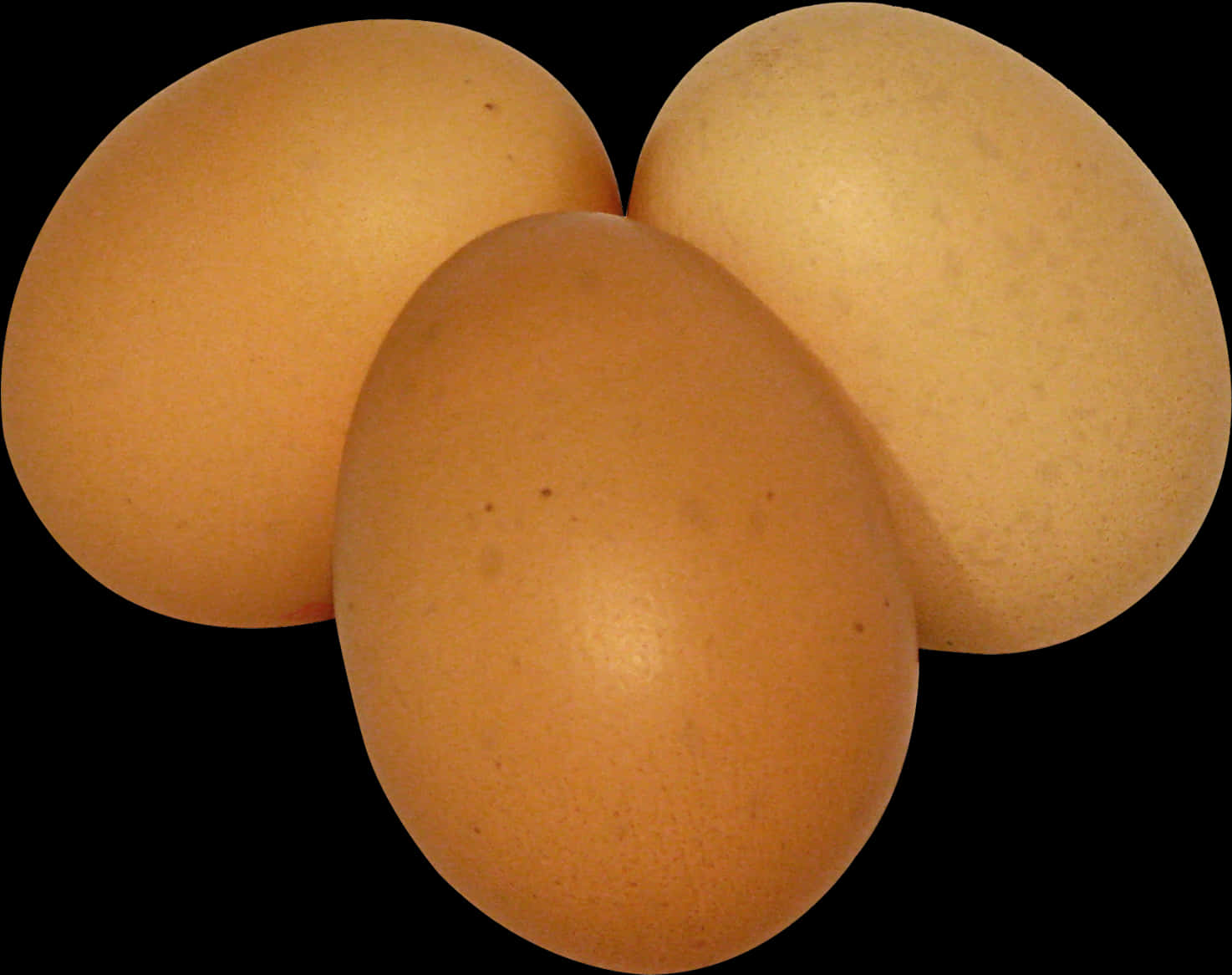 Three Brown Eggson Black Background PNG