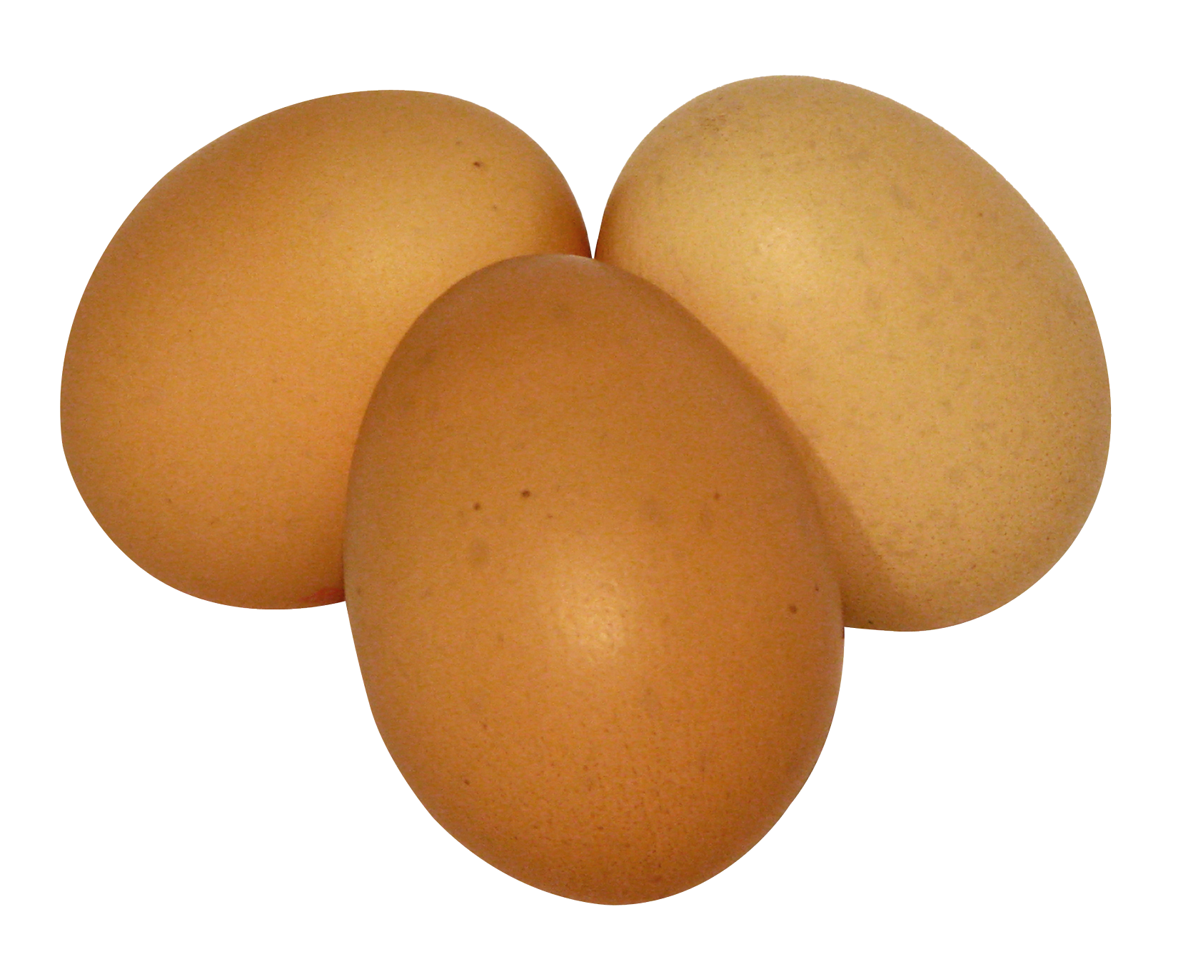 Three Brown Eggson Gray Background PNG