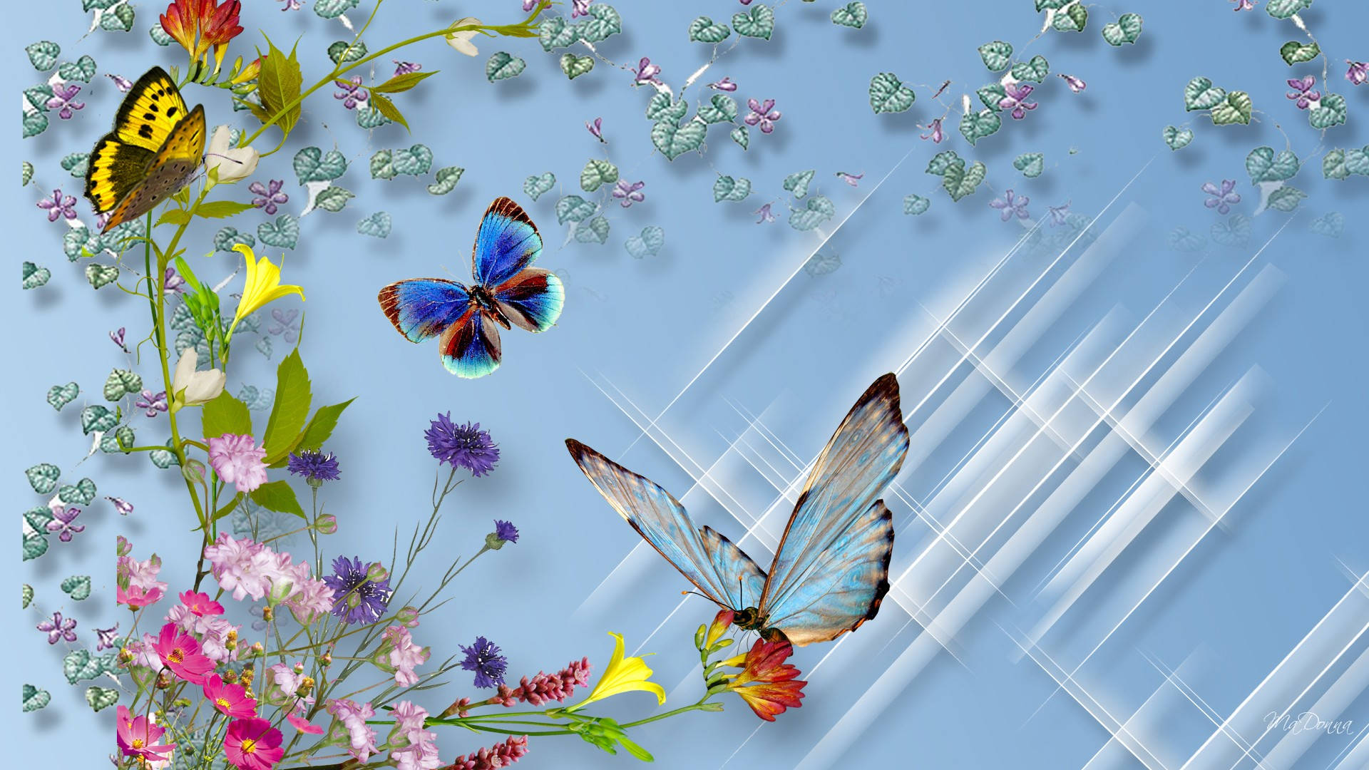 Tresmariposas En Una Flor. Fondo de pantalla
