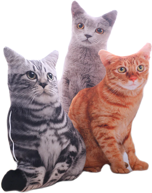 Three Cat Cushions Display PNG