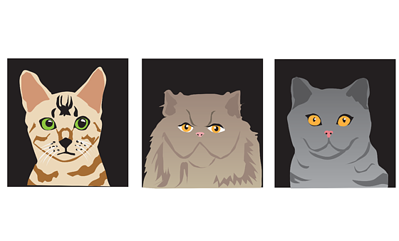 Three Cats Ago Funny Quote PNG