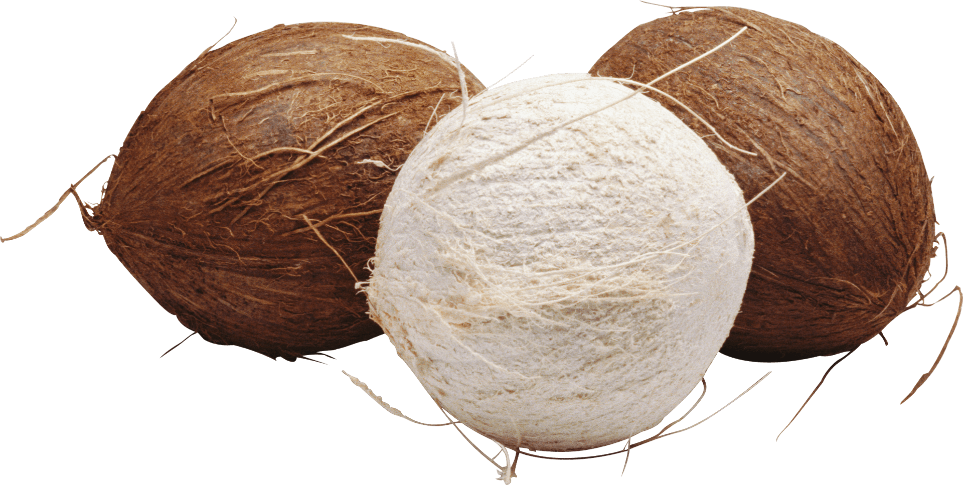 Three Coconuts Isolatedon Background PNG