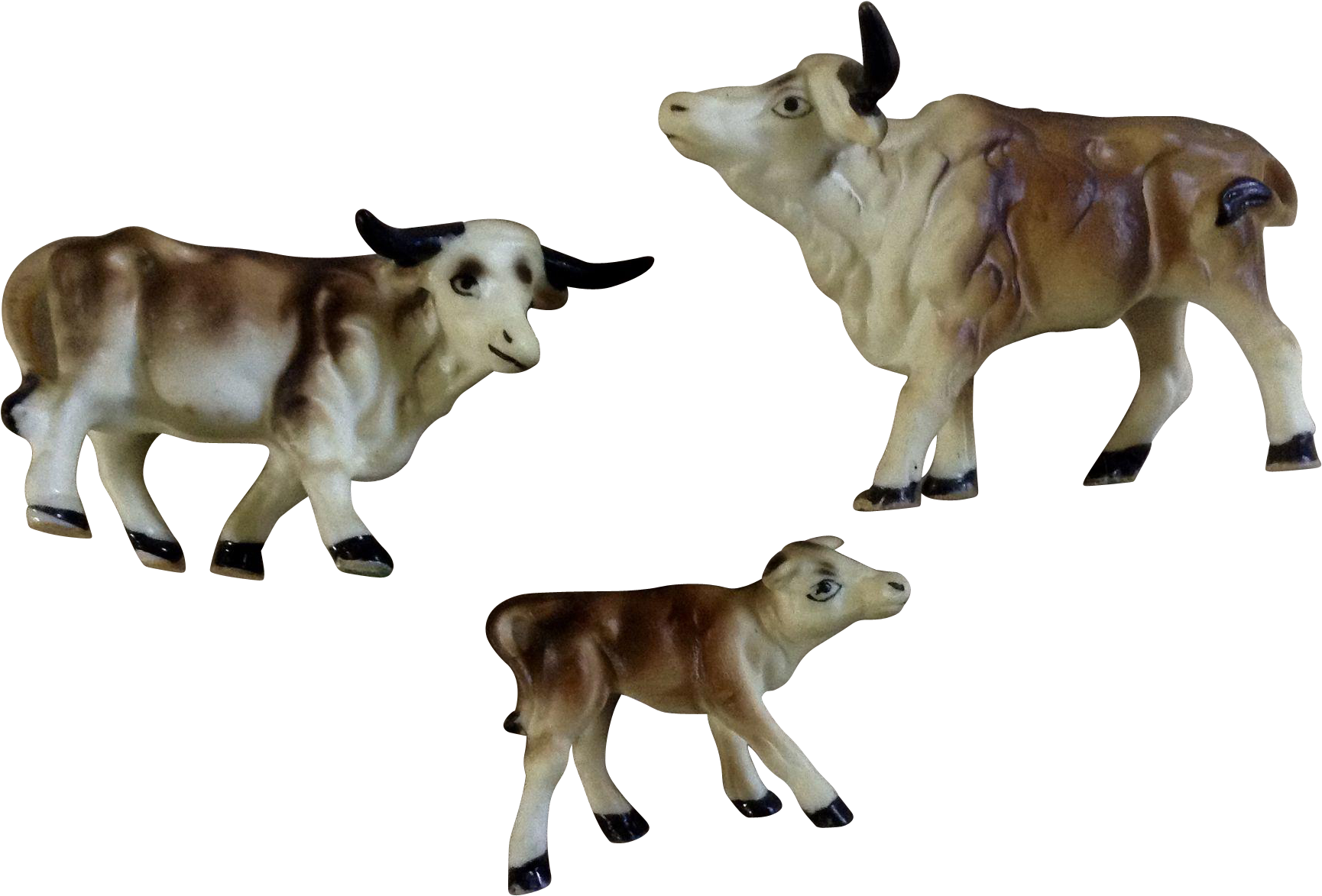 Three Cows Illustration PNG