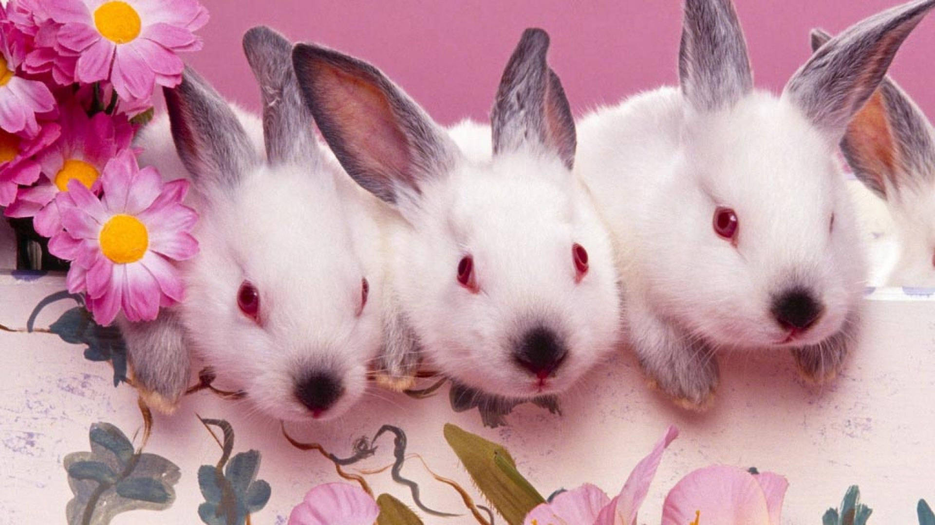 Tre søde påske kaniner Wallpaper