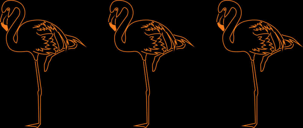 Three Flamingos Orange Silhouette PNG