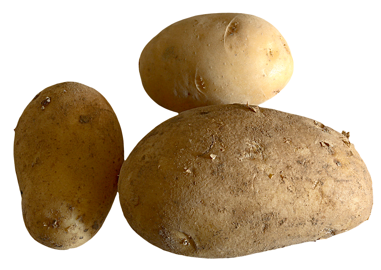 Three Fresh Potatoes PNG