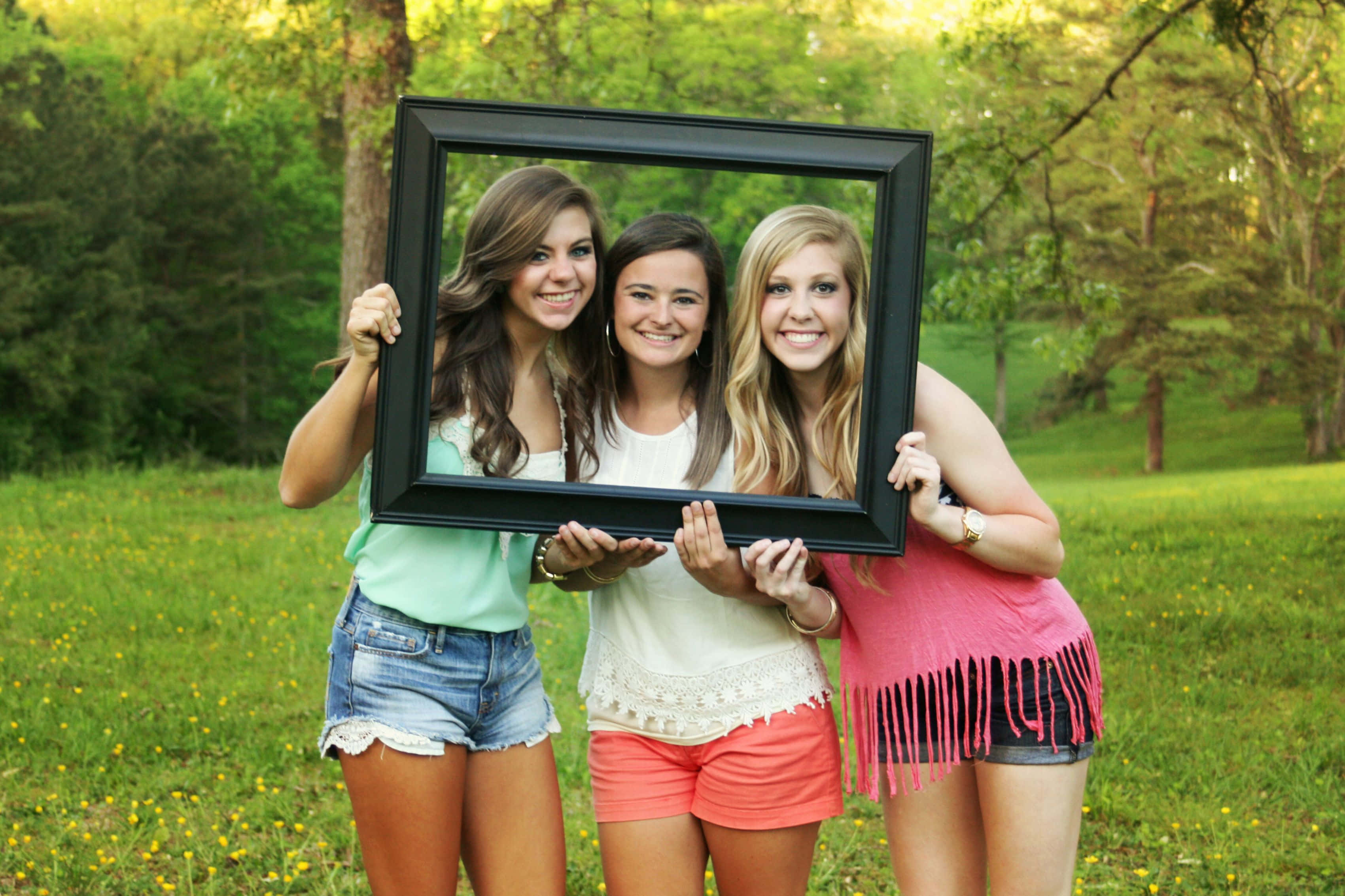 Three Friends On Frame Picture