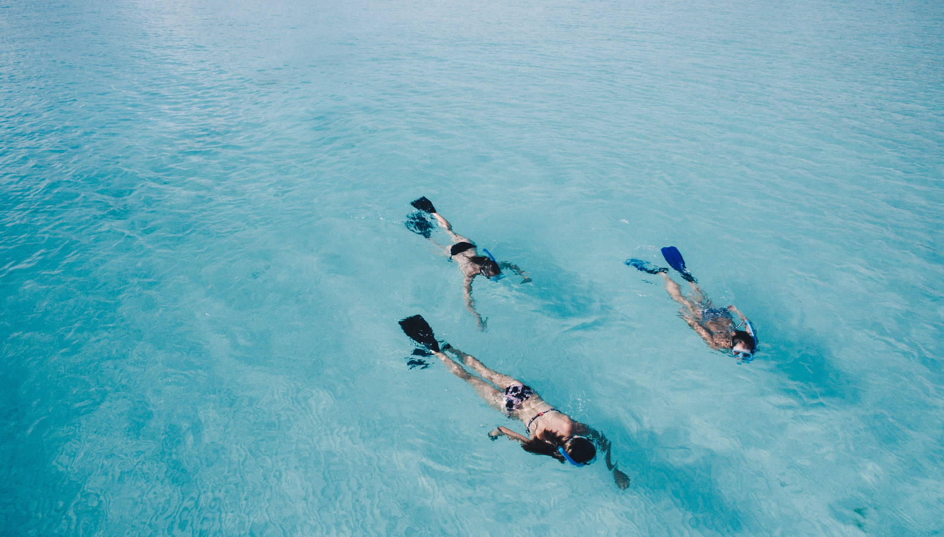 Three Girls Snorkeling Wallpaper