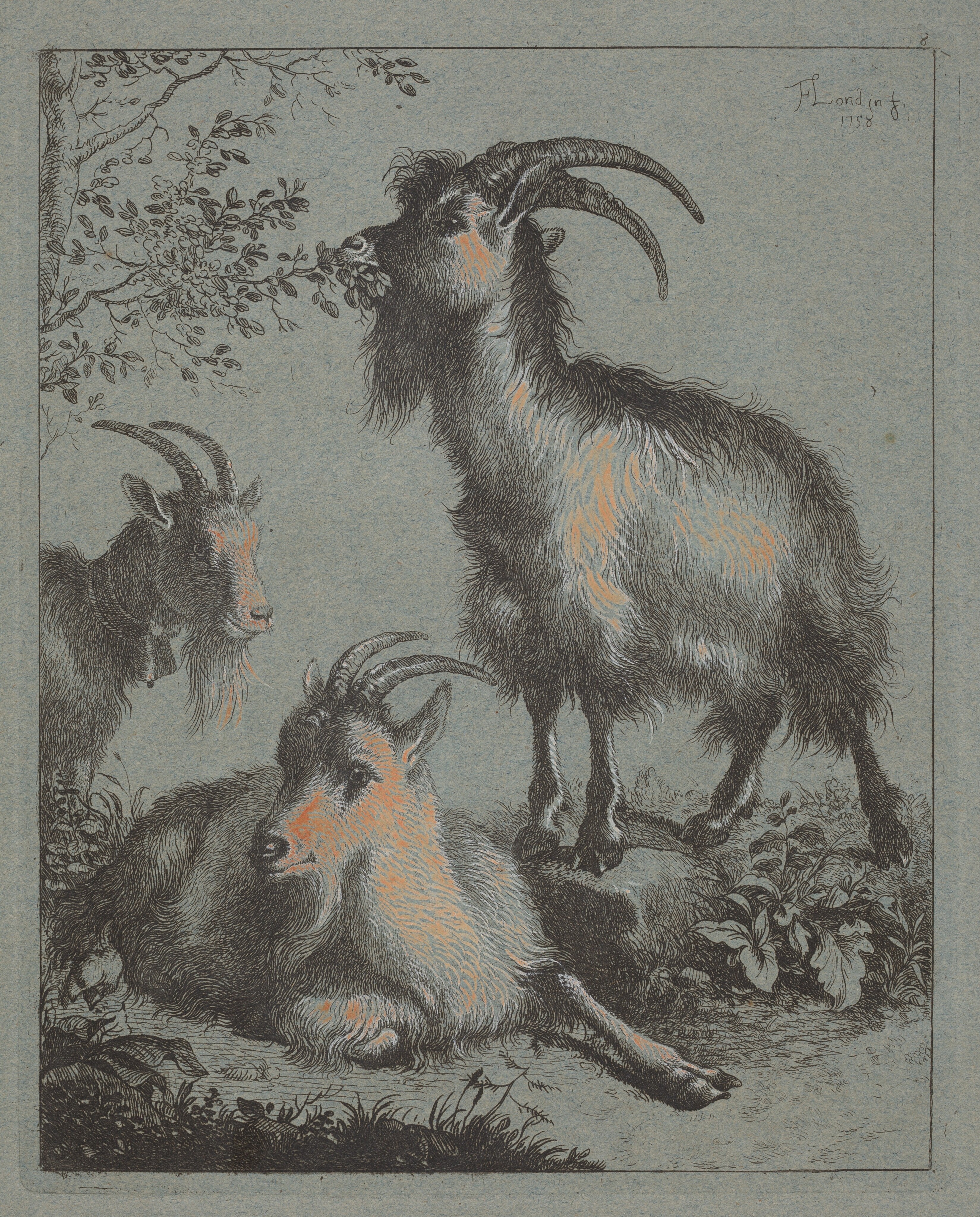 Three Goats Wallpaper