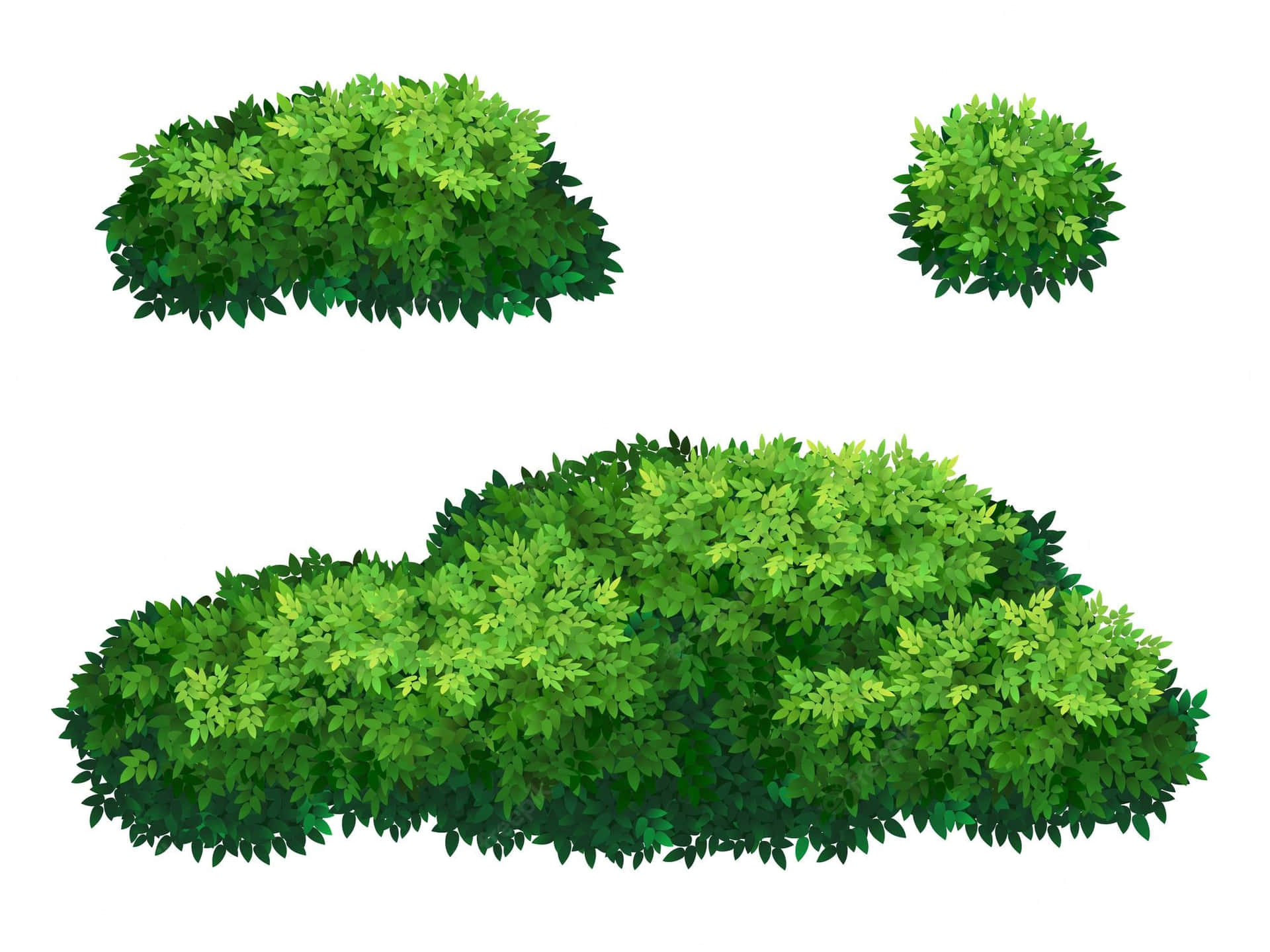 Three Green Wild Bush Digital Art Background