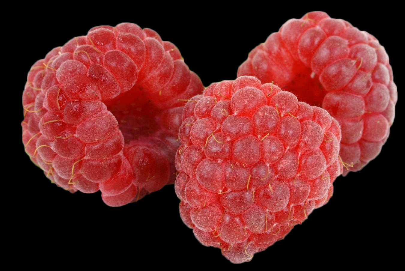 Treloganberries Sfondo