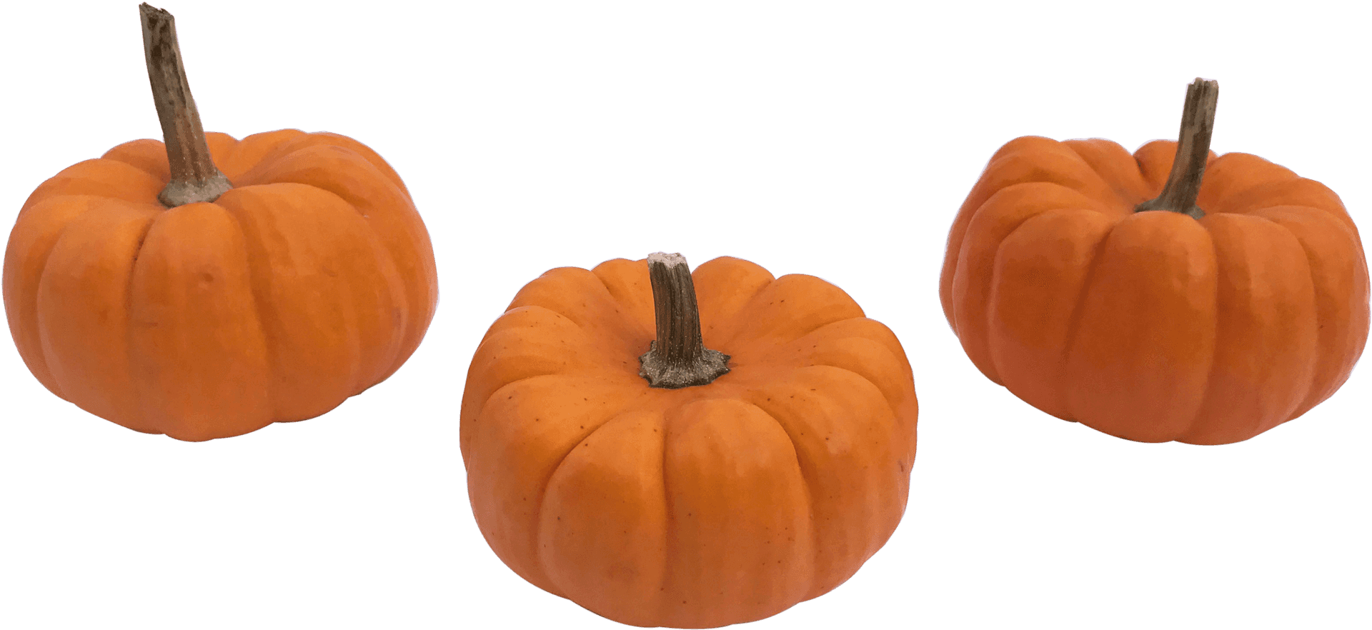 Three Orange Pumpkins Transparent Background PNG