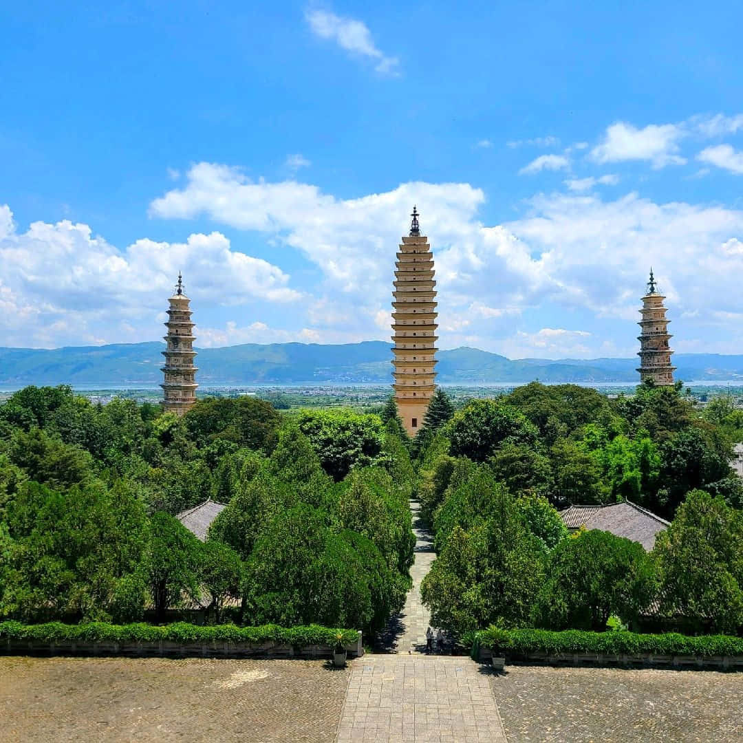 Three Pagodas And Many Trees Wallpaper