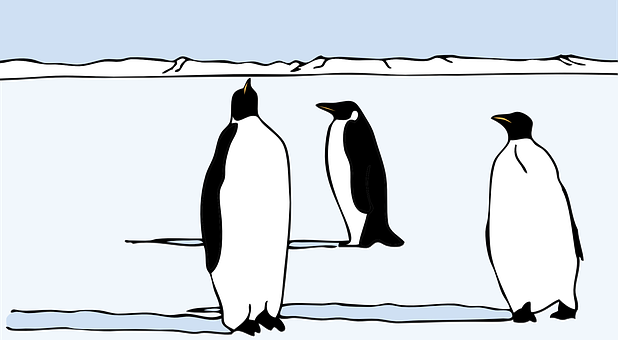 Three Penguins Iceberg Illustration PNG