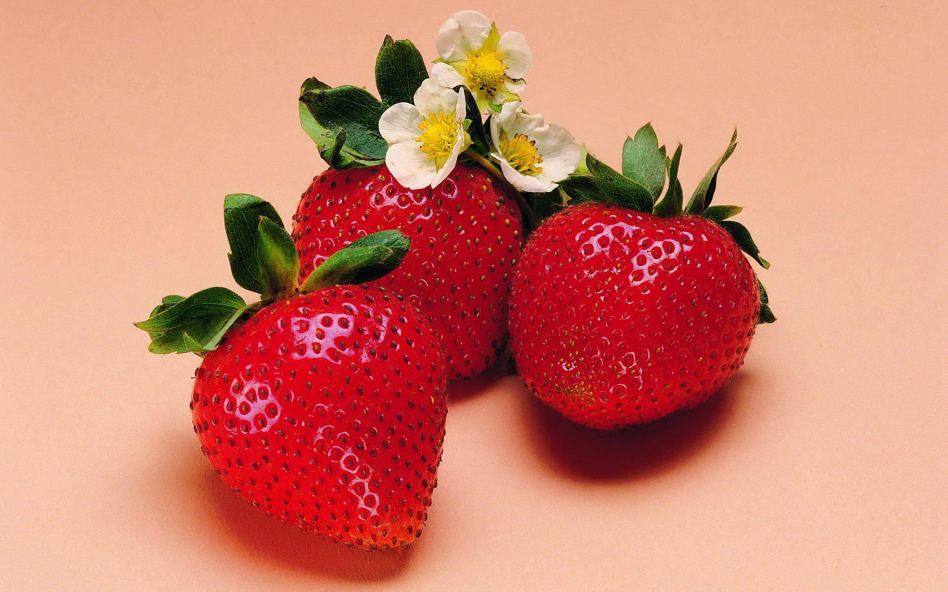 Three Pink Strawberries