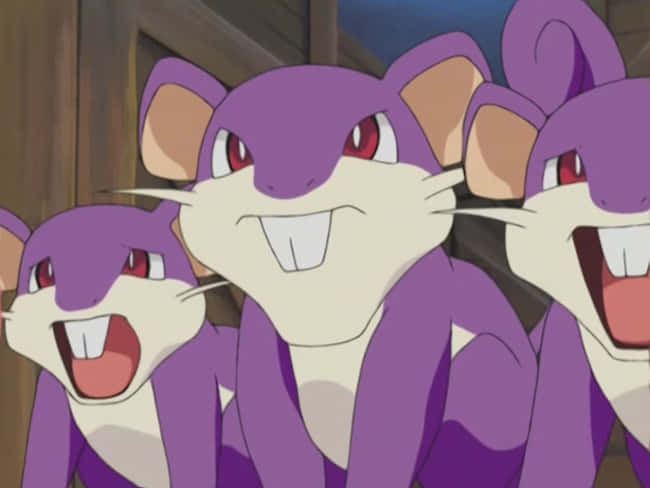 Three Pokemon Ratta With Purple Fur And Red Eyes Wallpaper