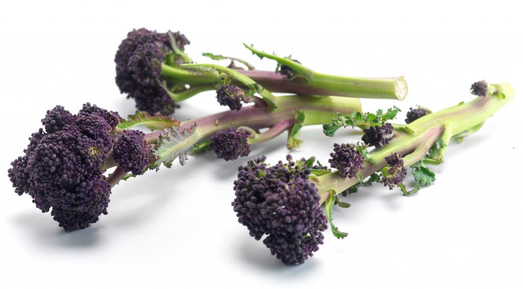 Three Purple Broccoli Flowers