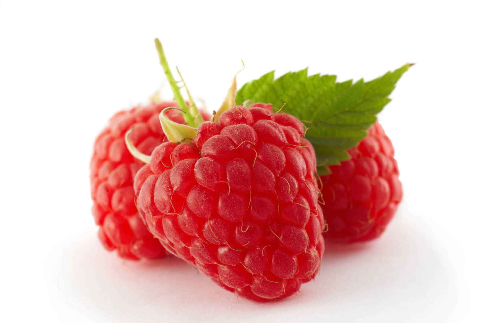 Tresloganberries Rojos Fondo de pantalla