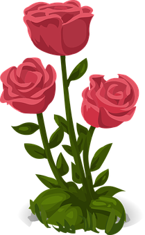 Three Red Roses Illustration PNG