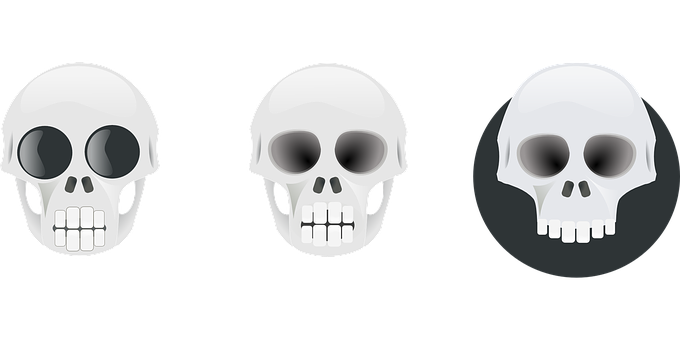 Three Skull Graphic Variations PNG