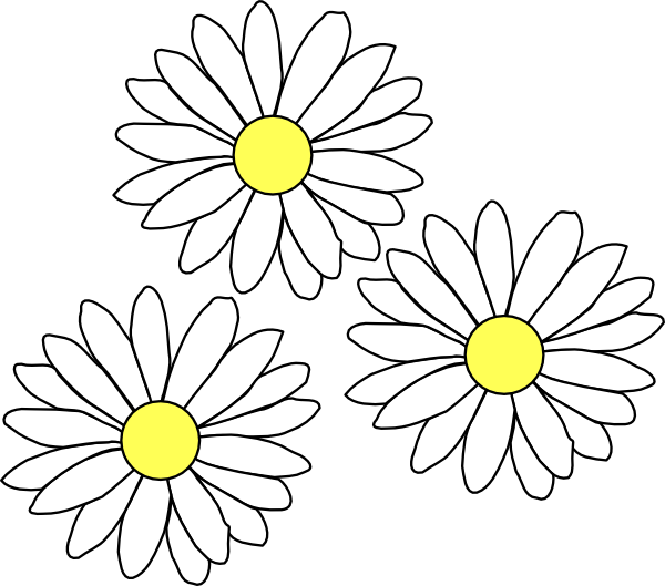 Three White Daisies Illustration.png PNG