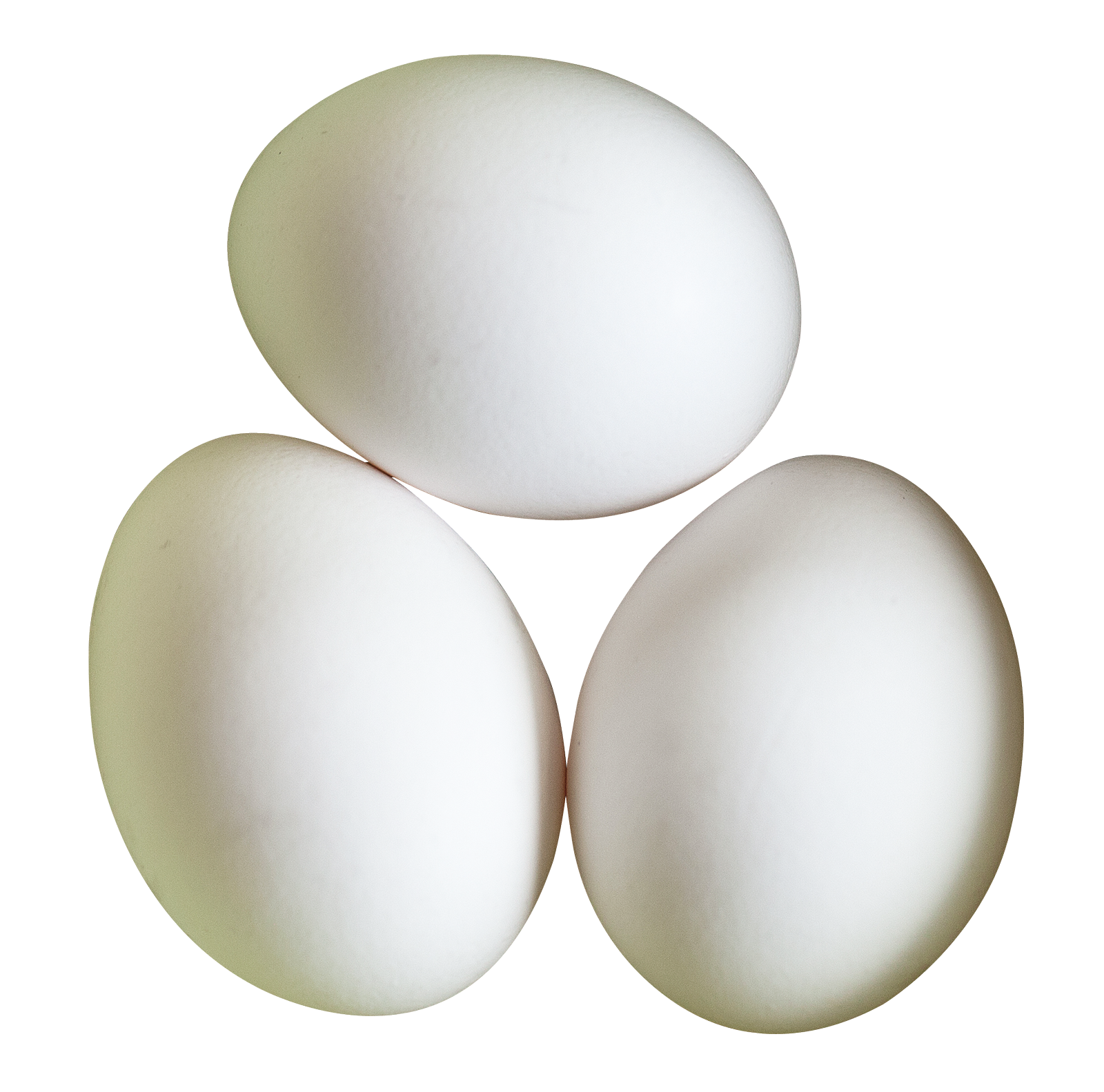 Three White Eggson Gray Background PNG