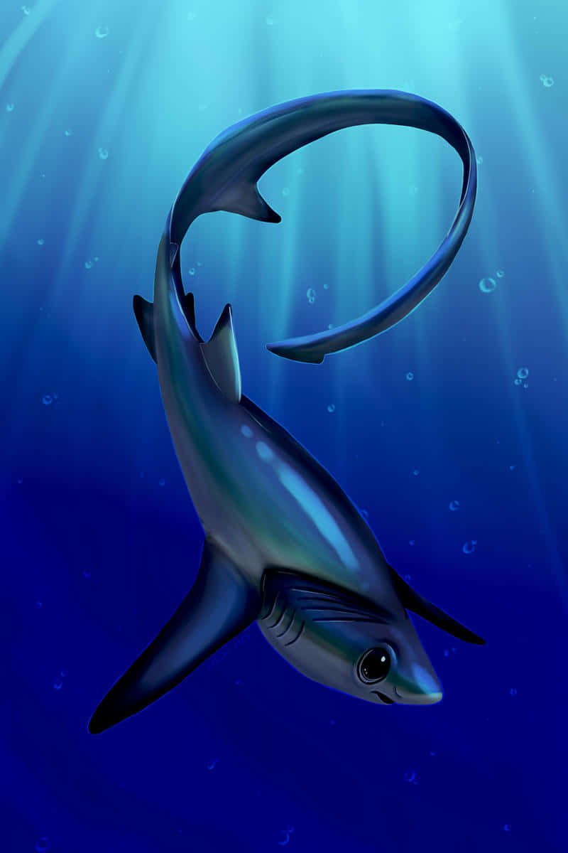 Thresher Shark Underwater Illustration Wallpaper