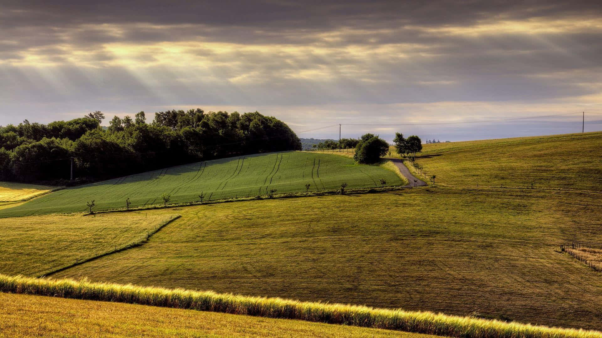 Thriving Farmland With Sustainable Practices Wallpaper