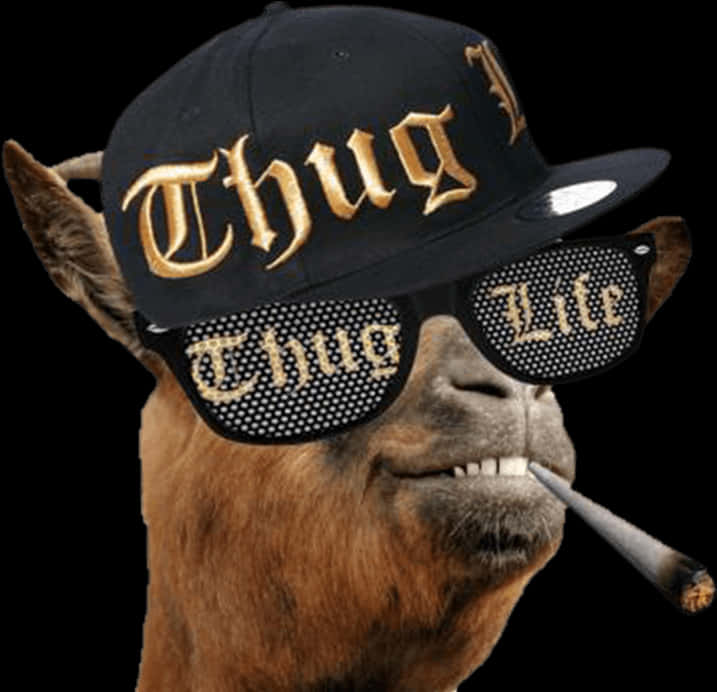 Thug Life Llamawith Glassesand Hat PNG