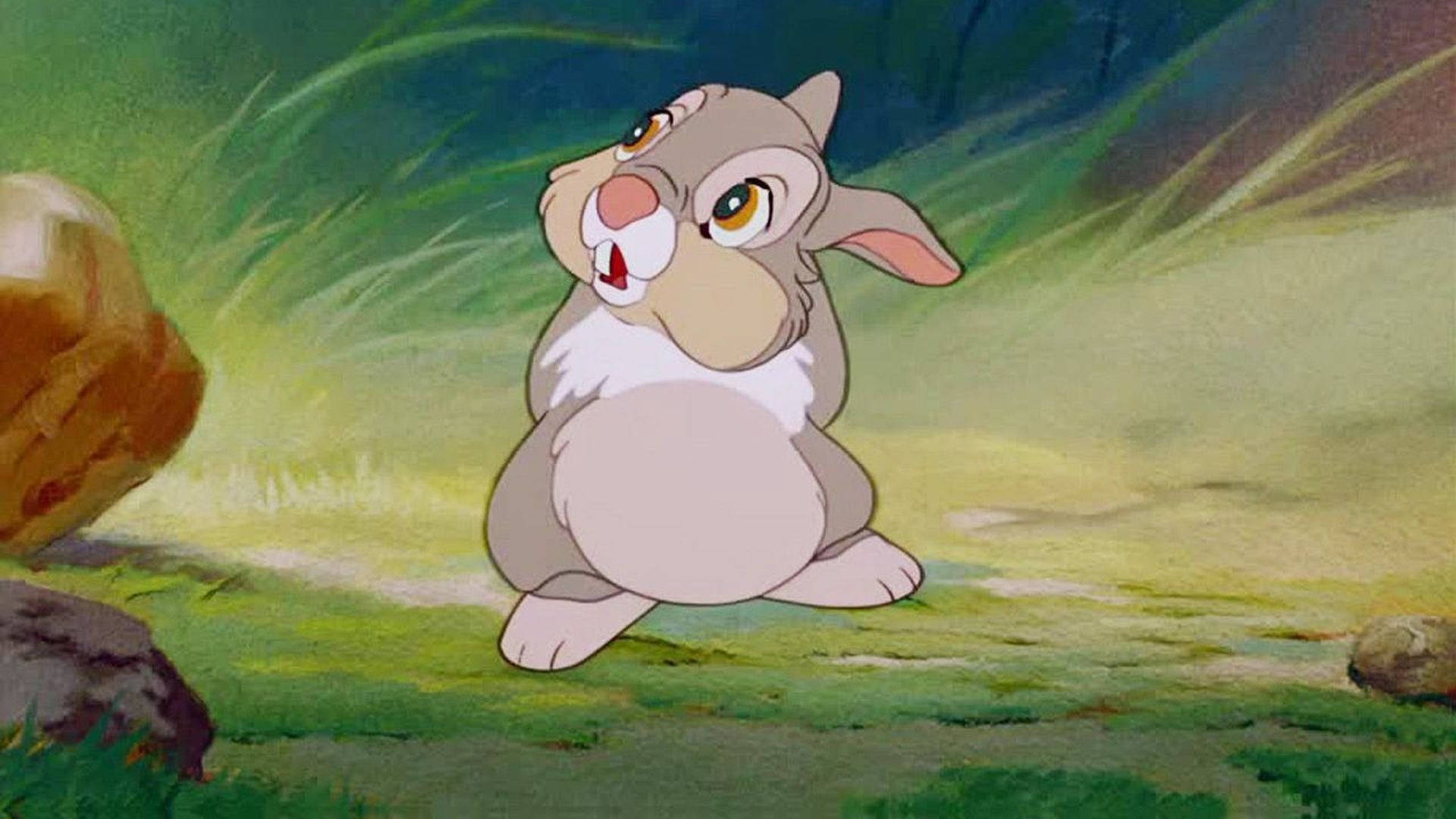 Floppy-Eared Thumper with Bloated Tummy Wallpaper
