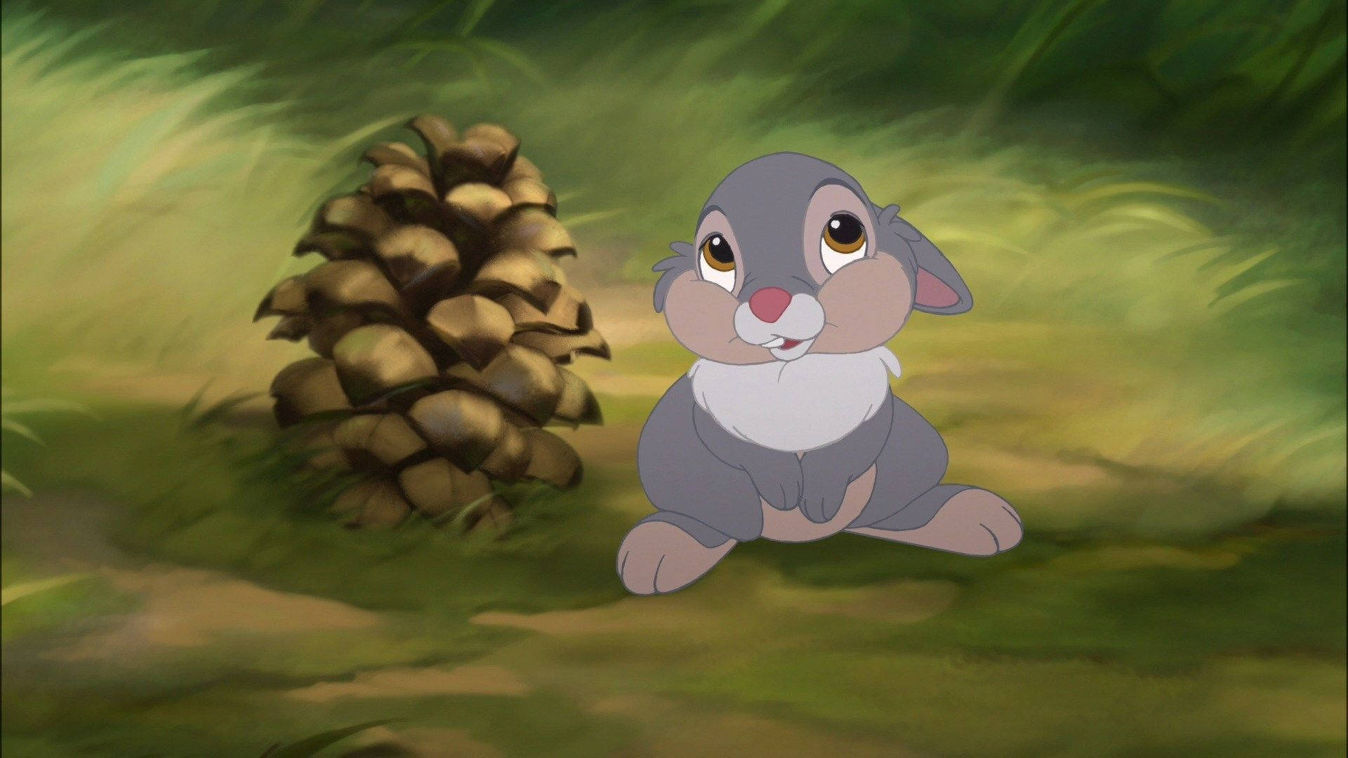 Thumper Looking Up Wallpaper