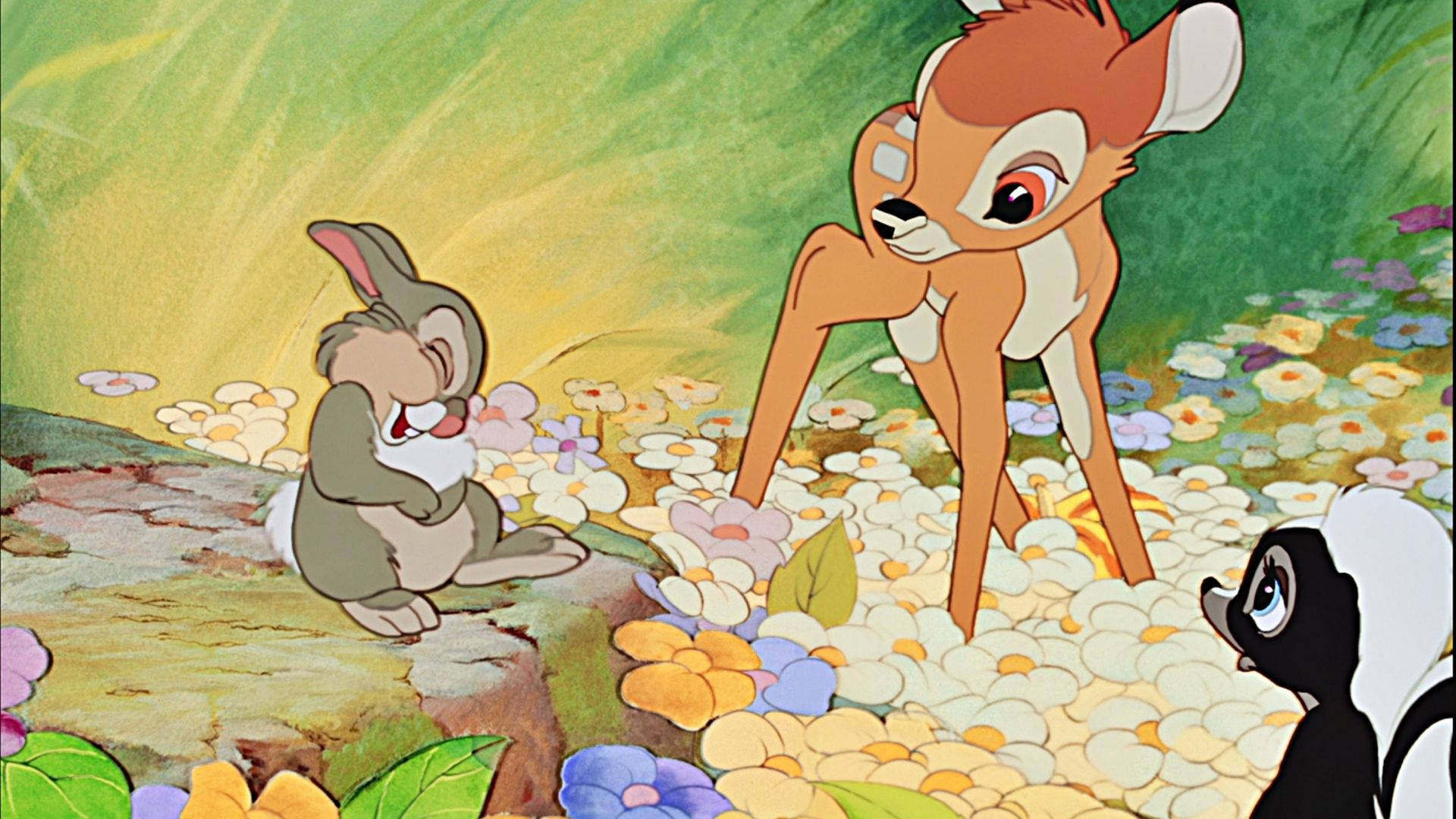 Thumper, The Adorable Disney Forest Bunny Wallpaper