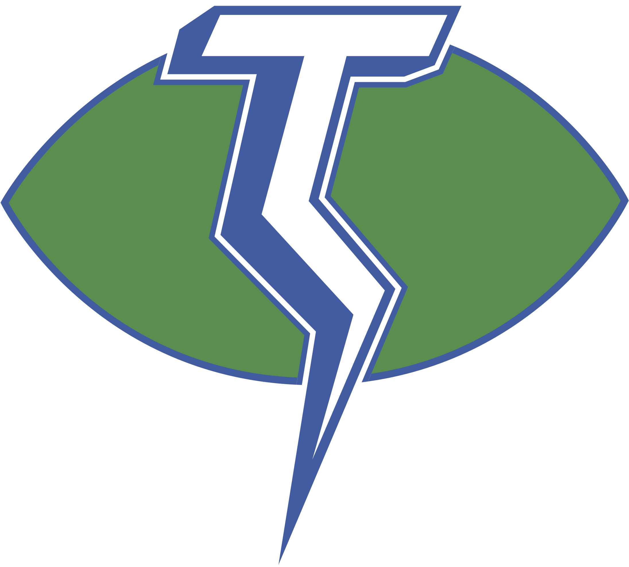 Thunderbolt_ Logo_ Vector PNG