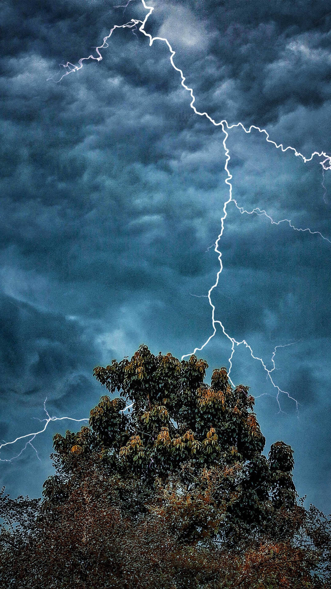 Thunderstorm Behind Tree Wallpaper