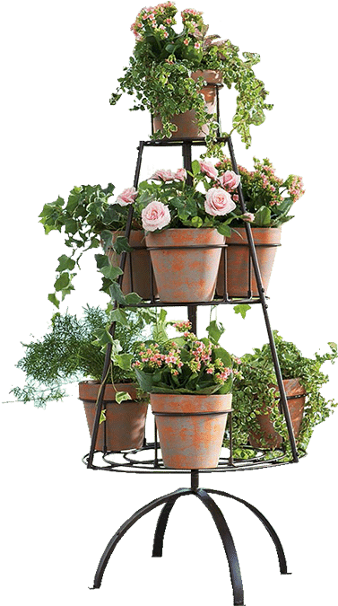 Tiered Plant Standwith Flowering Pots PNG