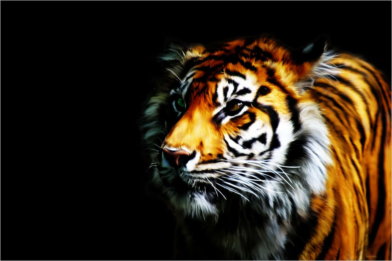 Tigerbakgrund I Storleken 1500 X 1000